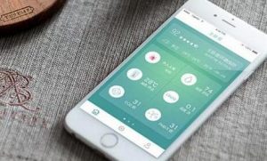 APP開發要多少錢 APP開發要多少錢