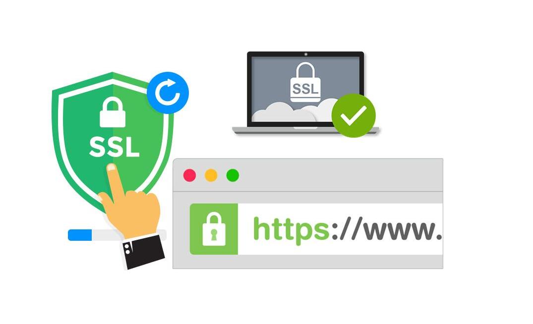 SSL證書的分類和級別有哪些? SSL證書的分類和級別有哪些?